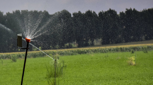 Agua estatica