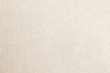 Recycled paper texture background in light cream sepia color .