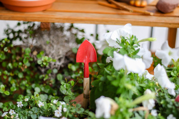 Dekoration im Kleingarten