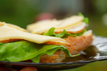 A blurry photo of a white bread sandwich with butter, fragrant ham, cheese and fresh salad on a glass plate. A glass plate with a delicious homemade sandwich in his hand. Selective focus.