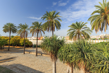 Fototapeta na wymiar Seville, Spain, riverside boulevard and a place for meetings and recreation.
