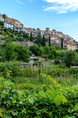 Palalda, Amélie-les-bains common in the Pyrénées-Orientales, France