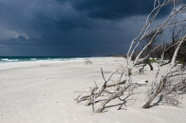 Dark, threatening clouds in the background with a beautiful, sunlit, sandy beach in the foreground...