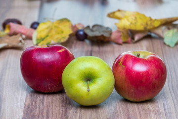 Autumn fruits