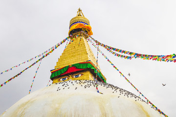 boudhanath Stupa with Prayer Flags and Pigeons in Kathmandu Nepa