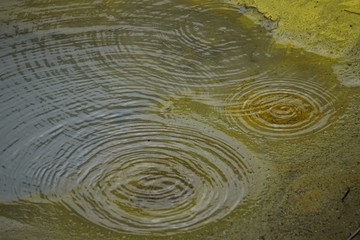 Fototapeta na wymiar rippling circles on yellow pool
