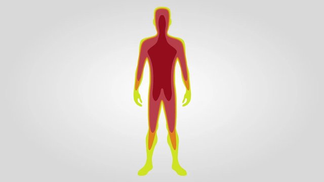 cold to warm graphic animation / Body temperature