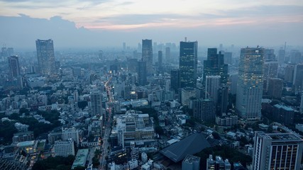Naklejka na ściany i meble Tokyo / Tokio Stadtübersicht, Megametropole von oben
