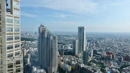 Fototapeta na wymiar Tokyo / Tokio Stadtübersicht, Megametropole von oben