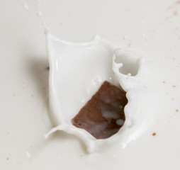 Chocolate falls in milk