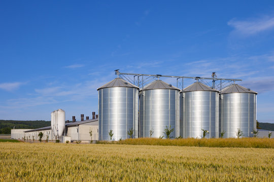 four silver silos in corn field