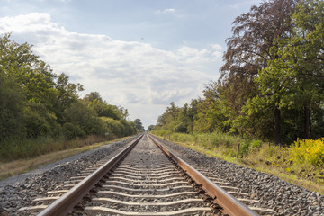 Fototapeta premium Railway passing through green plants and trees along both side