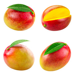 mango fruit isolated