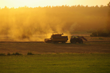 Fototapeta premium Harvester against hot orange sunset background