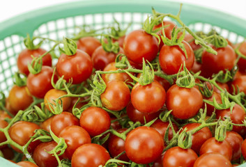 Fresh cherry tomatoes in basket isolated on white background