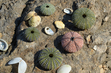 Urlaub am Meer
