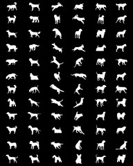 White silhouettes of different races of dogs on black background