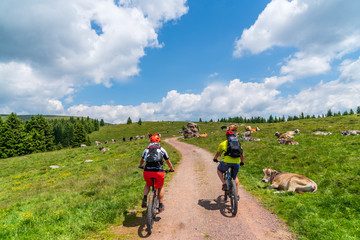 Fototapeta premium E-Mountainbiker auf Almwiese