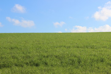 Empty land