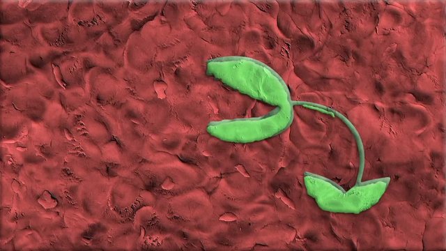 Venus Flytrap Made of Clay in Stop Motion