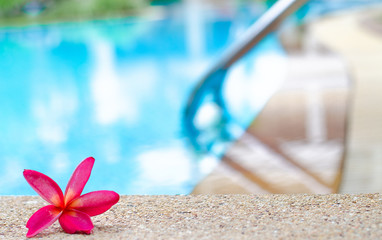 Morning swimming pool