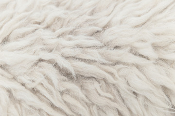 high detail of sheep fur skin texture pattern for background