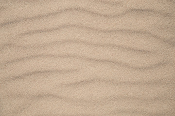 Fototapeta na wymiar A photo of a beach sand texture