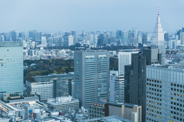 Tokyo city metro office building urban skyline evening view blue color tone