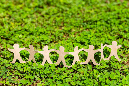 Human Chain on Green Plant (CSR)