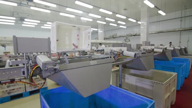 Automatic Production Line at Meat Factory