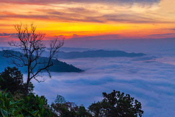 Fototapeta na wymiar Phu Huai Esan, Landscape sea of mist on Mekong river in border of Thailand and Laos, Nongkhai province Thailand.