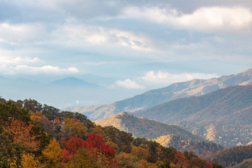 Beautiful fall colors trees and mountain vista autumn cloudy day, copy space, horizontal aspect