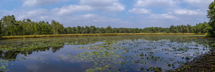 Schwattet Gatt, Naturschutzgebiet