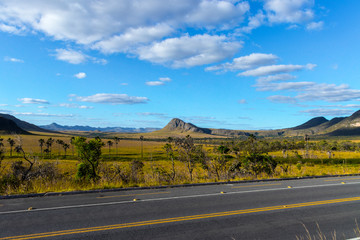 Whale's hill highway