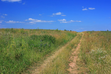 Fototapeta na wymiar A deserted road in the field