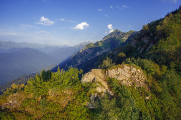 Roza Khutor Plateau Summer Alpine Ski Resort Landscape, Sochi, Russia. Close Up Of Alpine Meadow On A Background Of Caucasian Mountains