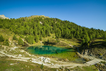 Fototapeta na wymiar Blue Mountain Lake with Green Pine Forest on a Sunny Morning.