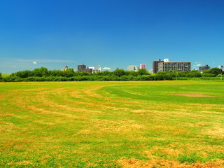 平日の河川敷の野球場風景