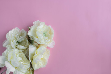 Pink background with white flowers on the side