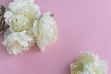 Pink background with white flowers on the side. Copy space