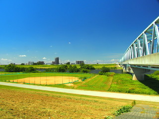 Fototapeta premium 土手の上から見る夏の江戸川風景
