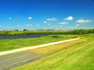 Fototapeta premium 土手の上から見る夏の江戸川風景