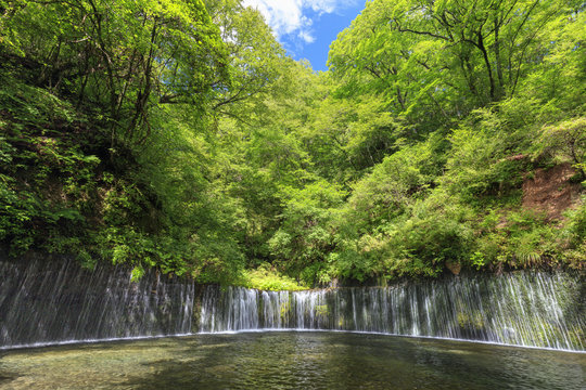 335 Best Shiraito Falls Images Stock Photos Vectors Adobe Stock