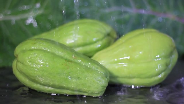 Close-up of water falling on group of chuchu isolated