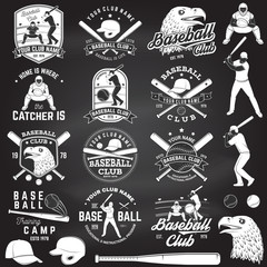 Baseball club badge. Vector illustration. Concept for shirt or logo, print, stamp or tee.