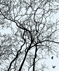 Vector image of tree silhouettes in cold season