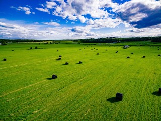 Aerial view of round straw bales in black plastic in green field in rural Finland.