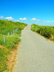 江戸川土手に通ずる坂道風景