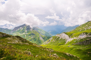 Obraz premium Wild Mountain Flowers and Landscape with Shelter and Lake in the Background.