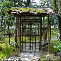 An Old Door in A Japanese Garden 